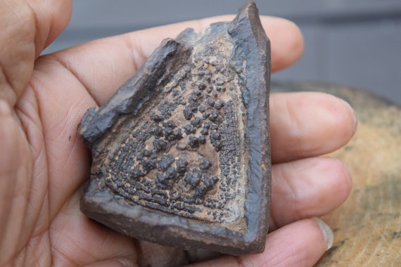 w-means × noroll concretion hat