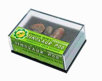 Fossilized Dinosaur Poo Coprolite Dino Poop Gift Set