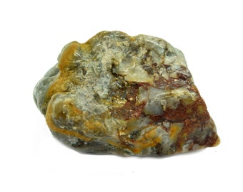 Real Fossilized Dinosaur Poo Dinosaur Coprolite
