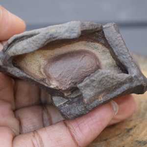 Eisen-Concretion Prähistorischer Schlamm Regolith Sedimentgestein Wüstenstein