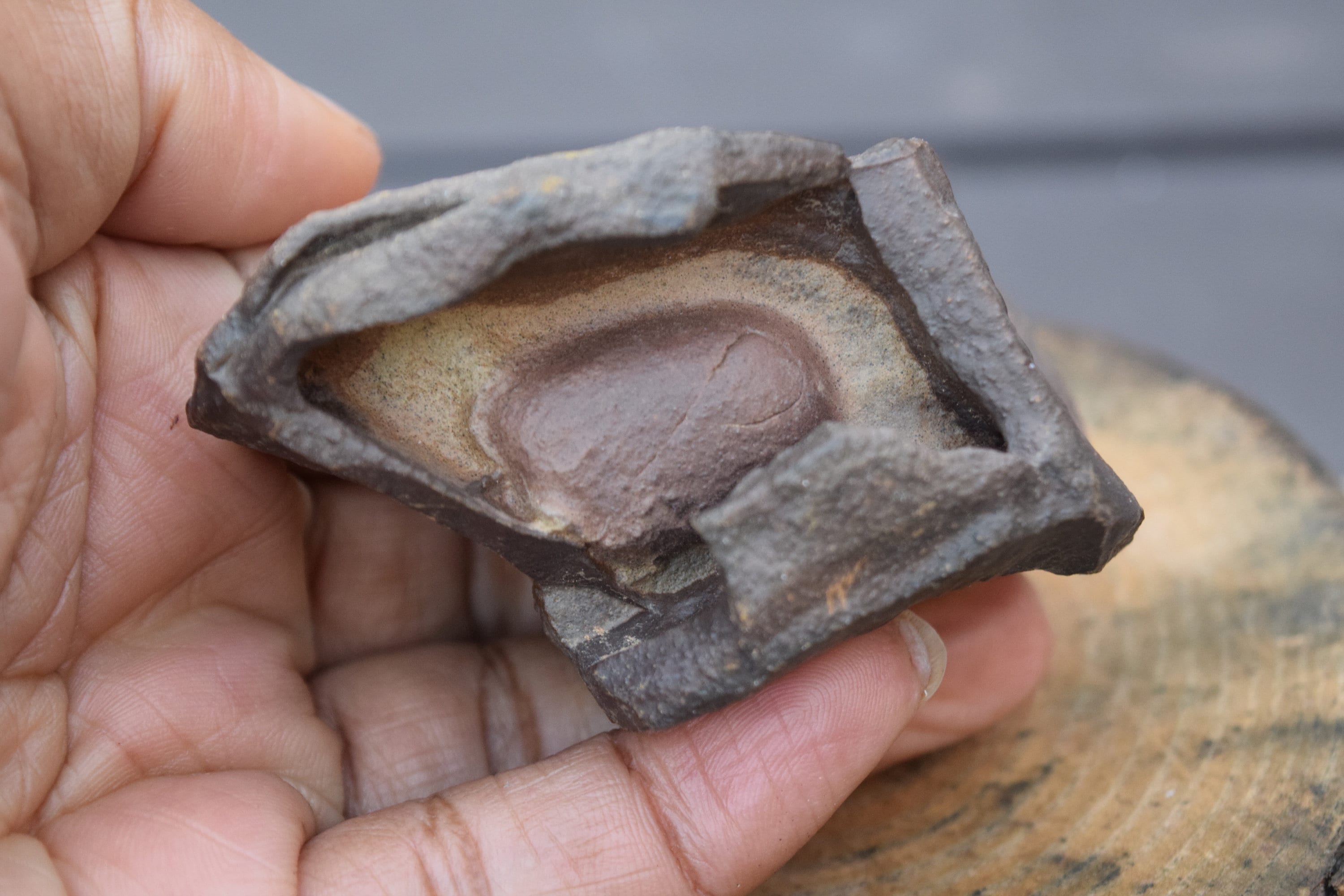 w-means × noroll concretion Concretion - Wikipedia