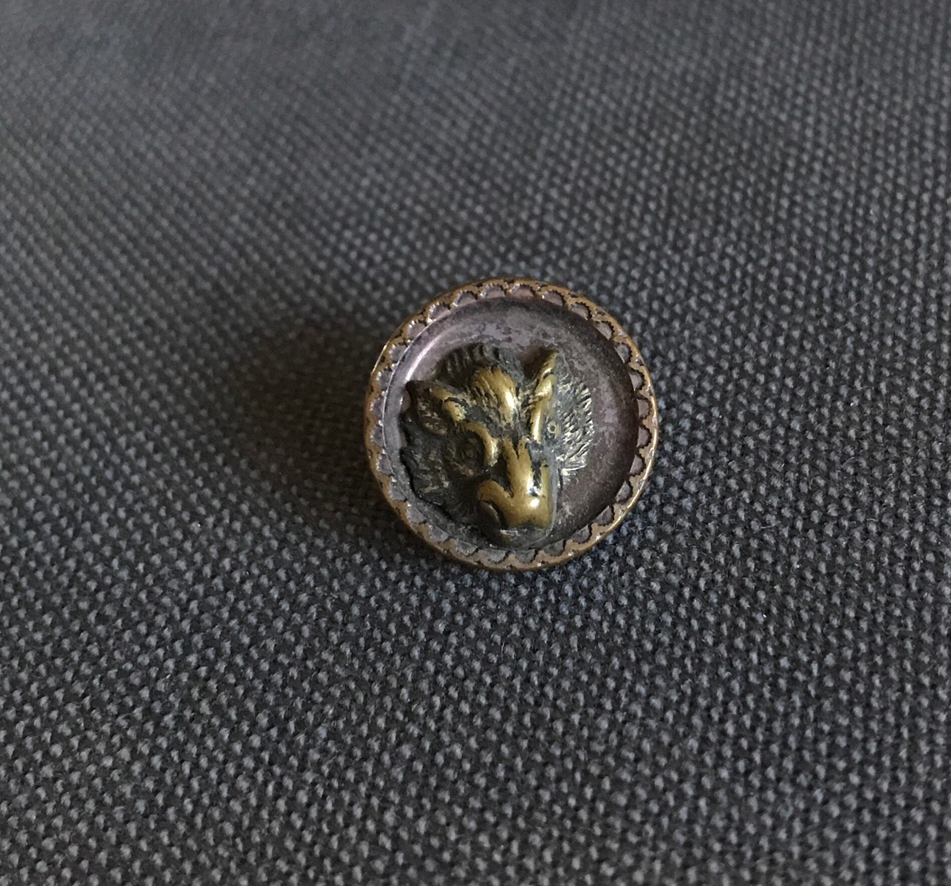 Antique BOAR HEAD Button Victorian Animal Pictorial - Etsy
