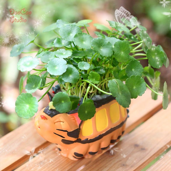 Fairy Garden Planter Pot Big Yellow Cat Ro Bus Flower