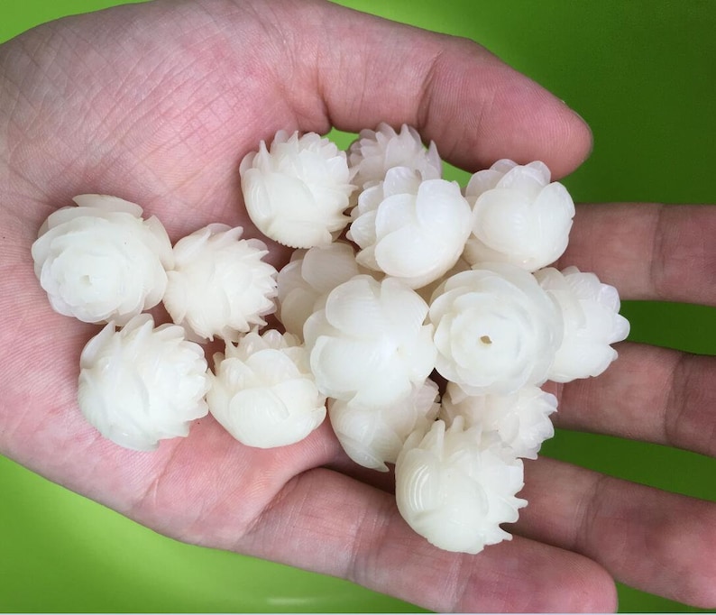 Naturel Bodhi Seed 2pcs White Jade Bodhi Graines Perles Etsy