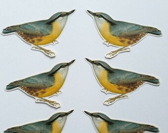 6 x Nuthatch stickers.  Vintage style. Snail mail  scrapbook planner journal decorations. Ephemera.