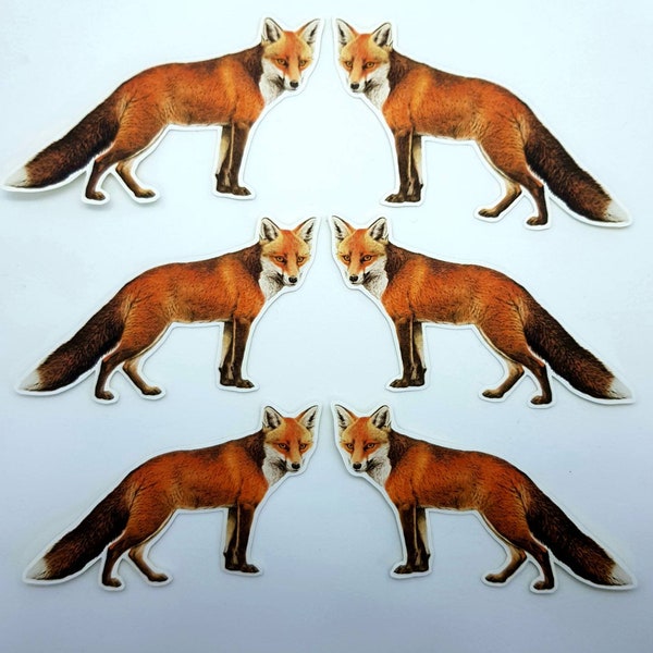 6 x Red Fox stickers. Snail mail  scrapbook planner journal decorations. Ephemera.