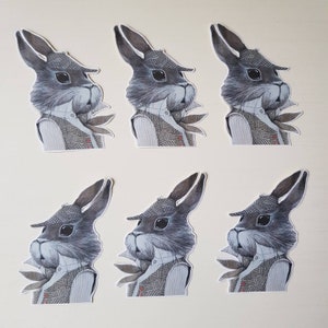 6 x Hasen Detektiv Aufkleber. Niedliche Sticker. Waldland. Snail Mail Scrapbook Planer Journal Dekorationen. Ephemera.