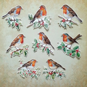 8 adesivi Robins On Holly. Uccelli. Decorazioni per diario di pianificatore di album di posta lumaca. Effimera.