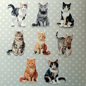 8 adesivi a forma di gatto. Decorazioni per diario, planner e scrapbooking tramite posta ordinaria. Effimere.