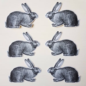 6 adesivi a forma di lepre bianca e nera. Stile vintage. Decorazioni per diario, scrapbooking, planner e altri oggetti. Effimera.