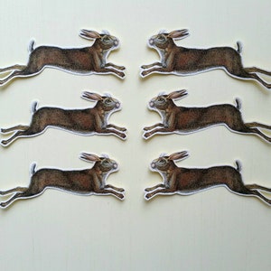 6 adesivi Running Hare. Decorazioni per diario, planner e scrapbooking tramite posta ordinaria. Ephemera.