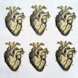 6 stickers coeurs kraft. Anatomie. style vintage. Rétro. Décorations de journal pour agenda, hobonichi midori, courrier postal. Éphémères.