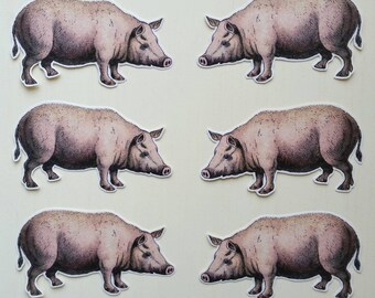 6 x Pig stickers. Farm. Snail mail  scrapbook planner journal decorations. Ephemera.