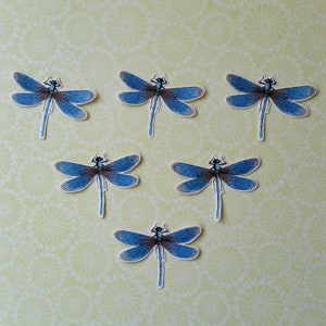 Könnte beinhalten: Sechs blaue und weiße Libellen-Papierschnitte auf einem hellgrünen Hintergrund mit Blumenmuster.