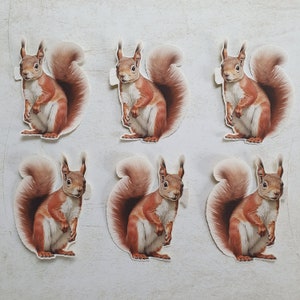 Eichhörnchen Sticker - 6er-Set | Niedliche Aufkleber | Post | Sammelalbum | Zeitschrift | Ephemera