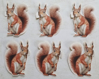 6 x Red Squirrels stickers. Snail mail  scrapbook planner journal decorations. Ephemera.