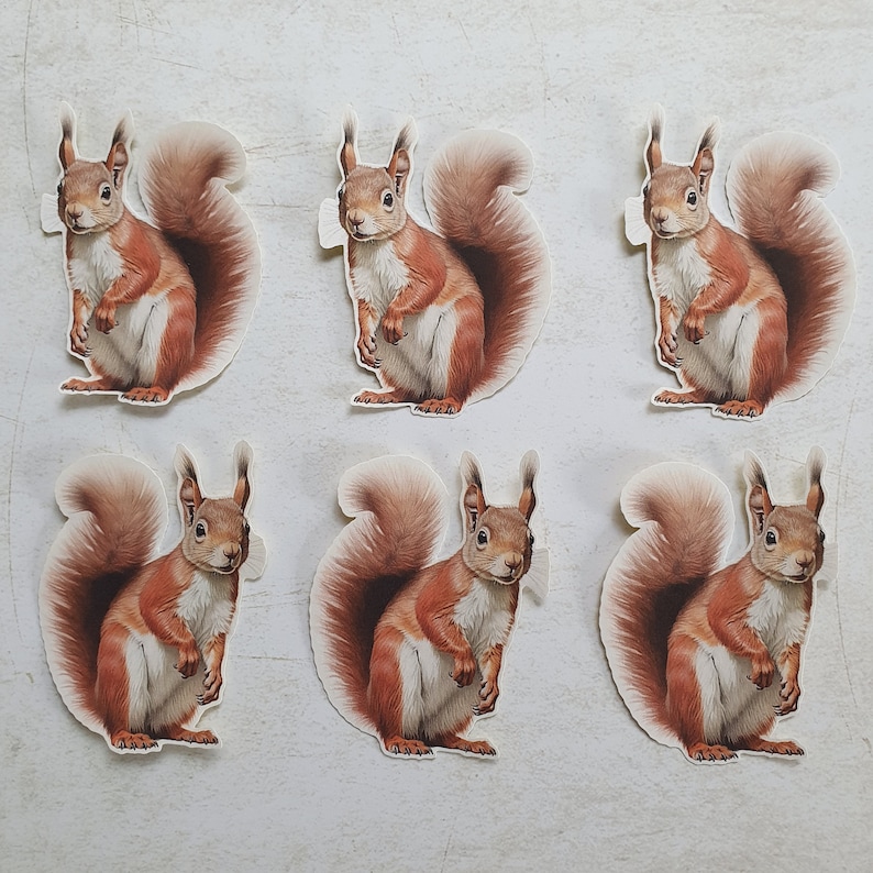 May include: Six red squirrel illustrations with white bellies and bushy tails. The squirrels are in various poses, some are sitting up, some are standing, and some are running. The illustrations are on a white background.