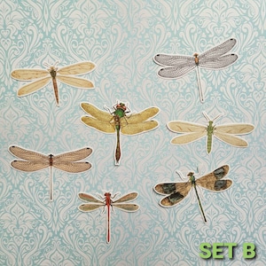 Könnte beinhalten: Satz mit sieben Libellen-Aufklebern in verschiedenen Farben und Mustern. Die Aufkleber zeigen verschiedene Libellen-Designs, darunter grüne, braune und schwarze Libellen mit filigranen Flügelmustern. Die Aufkleber sind perfekt, um jedem Projekt einen Hauch von Natur zu verleihen.