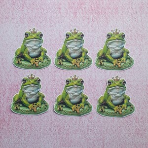 6 adesivi Principe ranocchio. Adesivi carini. Bosco. Decorazioni per diario di pianificatore di album di posta lumaca. Effimera.
