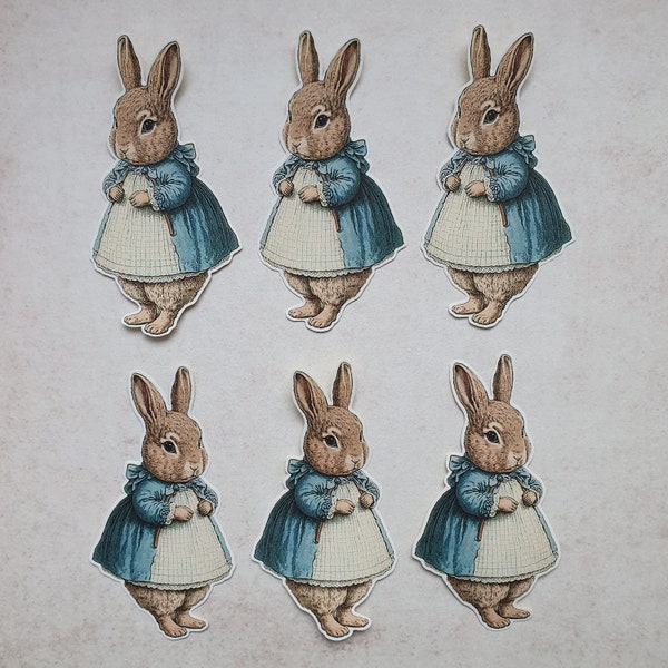 6 x Bunny in a Blue Dress stickers. Snail mail  scrapbook planner journal decorations. Kawaii. Ephemera.