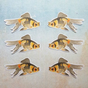 6 adesivi pesci rossi. Decorazioni per diario, planner e scrapbooking con posta ordinaria. Carini. Effimeri.