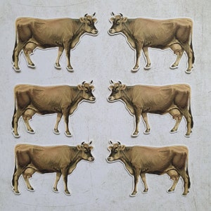 6 adesivi Jersey Cow. Fattoria. Decorazioni per diario, planner e scrapbooking tramite posta ordinaria. Effimere.
