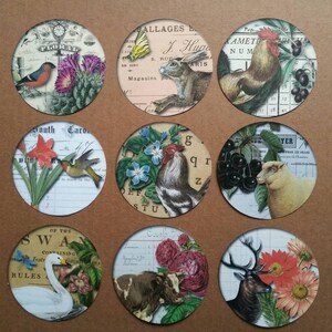 CIONDOLO ANIMALE / 9 adesivi vintage con animali e fiori / Cerchi da 2,5 pollici / Monete artistiche / Posta ordinaria / Album di ritagli / Giornale / Ephemera