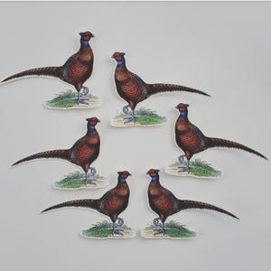 6 adesivi Pheasant. Decorazioni per diario, planner e scrapbooking tramite posta ordinaria. Ephemera.