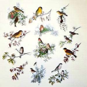 12 x Birds on Branches stickers. Retro. Vintage. Snail mail collage scrapbook planner junk journal decorations. Ephemera. image 1