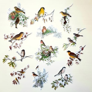 12 adesivi Uccelli sui rami. Retro. Vintage. Decorazioni per collage, scrapbooking, planner, diario spazzatura, posta ordinaria. Effimere.