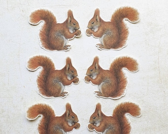 6 x Red Squirrels stickers. Snail mail hobonichi midori planner journal decorations. Ephemera.