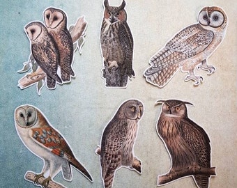 SET B - 6 x Owl stickers.  Vintage style. Snail mail  scrapbook planner journal decorations. Ephemera.