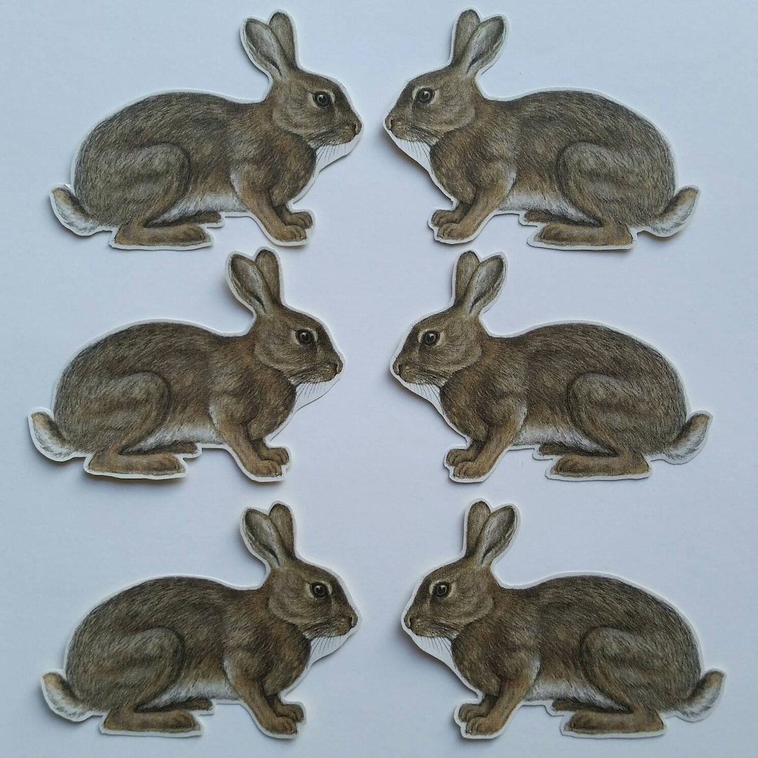Scrapbook Rabbit Sticker 6 X Rabbit Stickers. Snail Mail Scrapbook Planner Journal Decorations ...