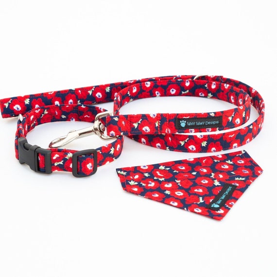 poppy dog collar and lead