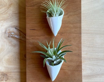 Reclaimed Wood & Ceramic Air Plant Holder, Modern Planter, Wall Decor, Rustic Modern Art, Nature Inspired, Fine Art Ceramics, Reclaimed Art