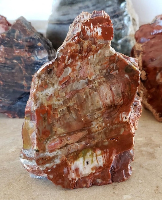 1385g 化石木 - Etsy 日本