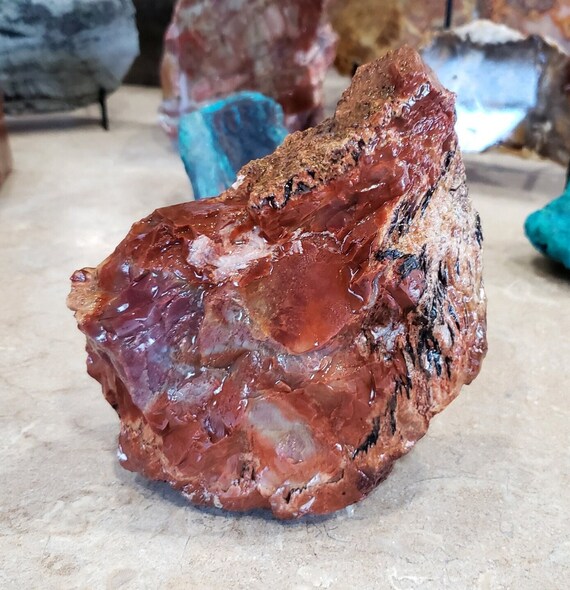 木化石。 形状お任せ 木化石 SSサイズ(約3~6cm) 5個入 | チャーム