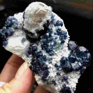 May include: A cluster of blue and black crystals embedded in a white matrix. The crystals are small and have a rough, irregular shape. The matrix is smooth and has a white, powdery texture.