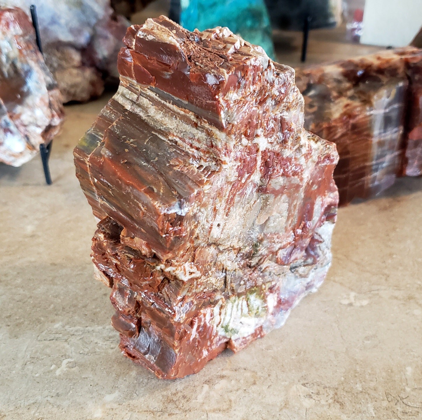 化石化した木の石 珪化木とは、数億年から数千万年前の樹木の化石の一形態。 古代の樹木