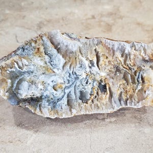 Puede incluir: Un espécimen mineral rugoso y alargado que presenta una estructura interna compleja con capas de formaciones cristalinas blancas, grises y marrón dorado. La superficie muestra una textura irregular y dentada con grietas visibles.