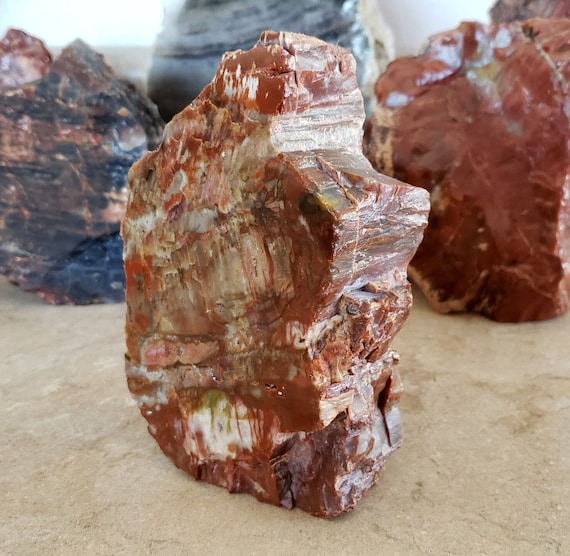 木化石 手のひらサイズ 自然のアート つくばい 珪化木 木化石 手水鉢