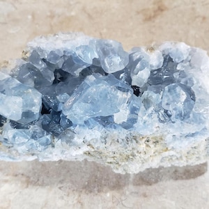 May include: A cluster of light blue celestite crystals. The crystals have a translucent appearance and are clustered together on a rough, beige matrix. The overall shape is irregular, with the crystals catching the light.