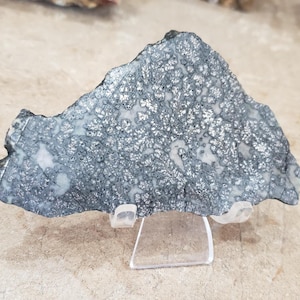 May include: A flat, irregularly shaped mineral specimen featuring a dark gray and metallic silver surface with a mottled, crystalline texture. The stone is displayed on a clear, transparent plastic stand that supports its weight from below.