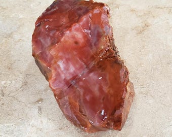 Madera petrificada AZ de 795 g