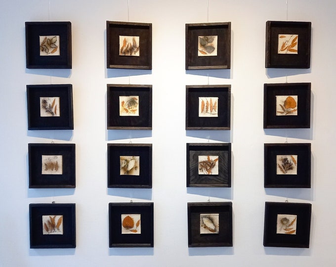 ELEMENTS XLII-LVII - original botanical eco prints on felt, Yakisugi wood framed, wall art miniatures by Irina Goleva