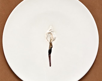 VULVA HYPNOTICA XXVI - original porcelain wall sculpture by Zlatina Krusteva