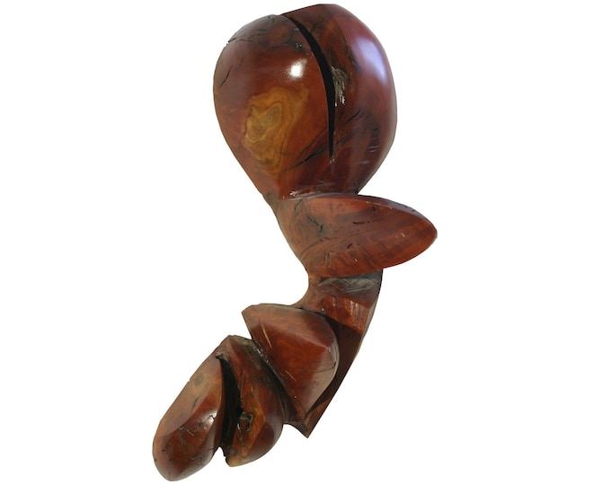 GERMINATION - original wood wall sculpture by George Troyanov