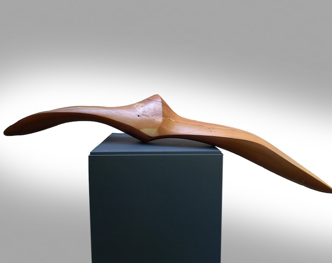 ALBATROSS - original wood sculpture by Rasho Mitev