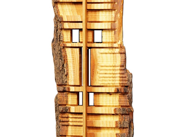 MASK OF KNOWLEDGE - original wood wall sculpture by Sava Draganov