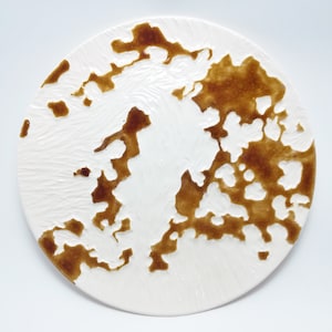 Può includere: Un piatto rotondo in ceramica bianca con una superficie strutturata e un motivo organico marrone. Il design del piatto presenta un'interazione contrastante di aree bianche lisce e sezioni strutturate marroni in rilievo.